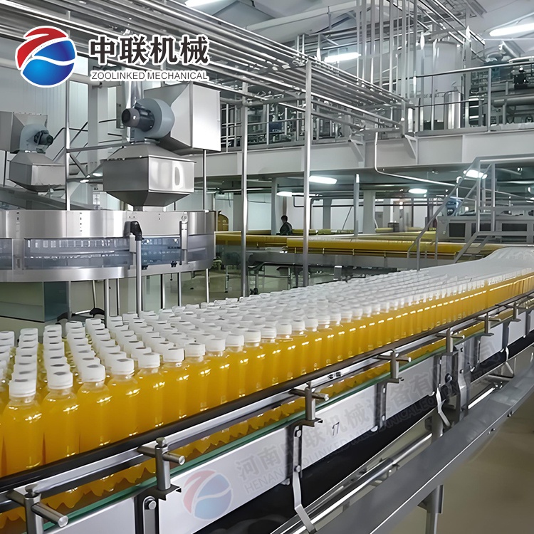 整套菇娘果飲料生產線設備