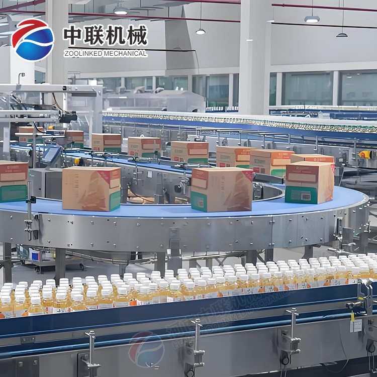 整套雞心果飲料生產線設備