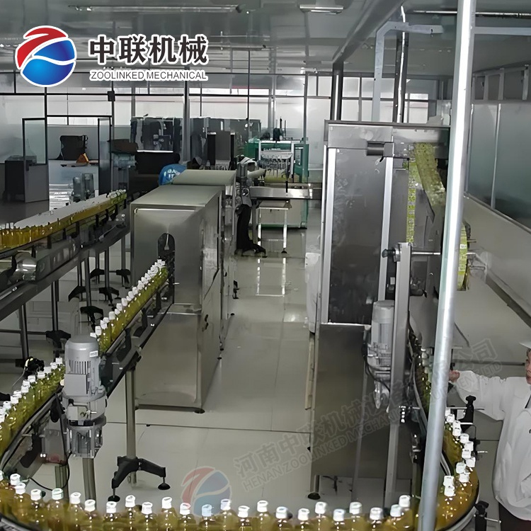 全自動人參果汁飲料生產線設備